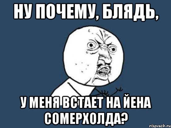 ну почему, блядь, у меня встает на йена сомерхолда?, Мем Ну почему