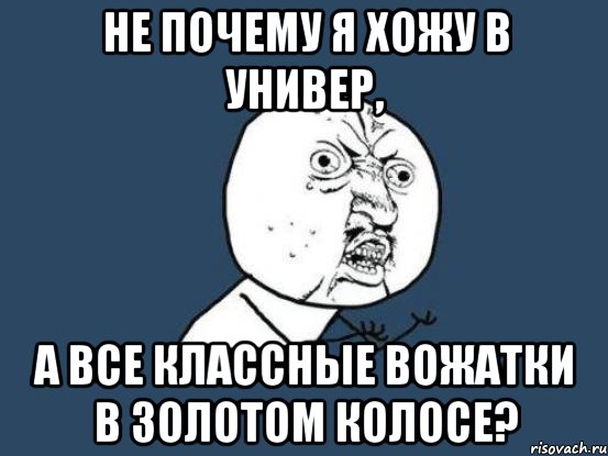 не почему я хожу в универ, а все классные вожатки в золотом колосе?, Мем Ну почему