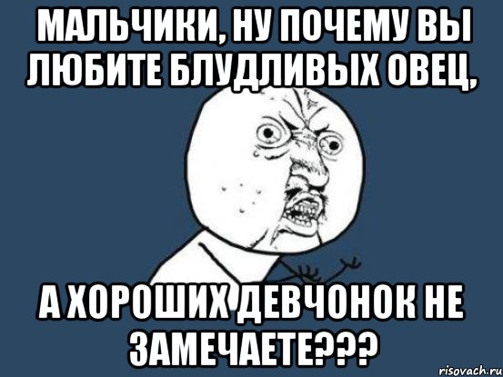 мальчики, ну почему вы любите блудливых овец, а хороших девчонок не замечаете???, Мем Ну почему