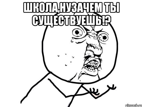 школа,нузачем ты существуешь!? , Мем Ну почему (белый фон)