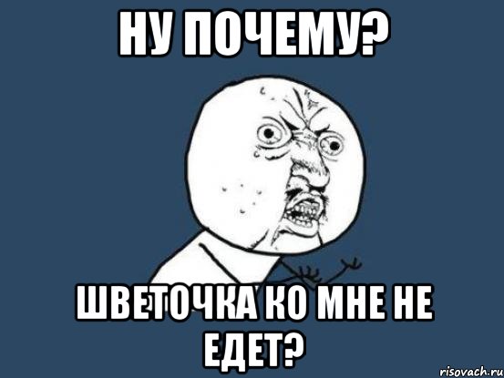 ну почему? шветочка ко мне не едет?, Мем Ну почему