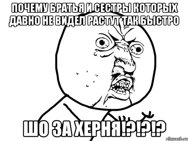 почему братья и сестры которых давно не видел растут так быстро шо за херня!?!?!?, Мем Ну почему (белый фон)