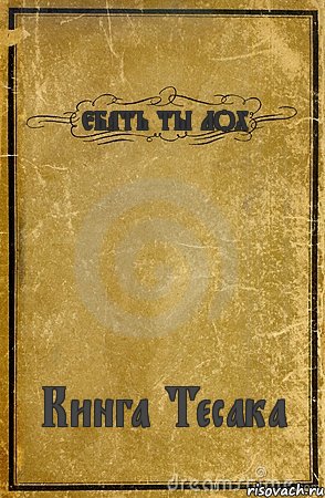 ЕБАТЬ ТЫ ЛОХ Кинга Тесака, Комикс обложка книги