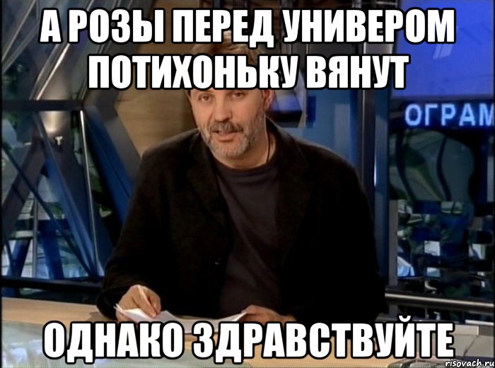 а розы перед универом потихоньку вянут однако здравствуйте, Мем Однако Здравствуйте