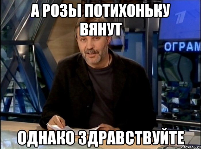 а розы потихоньку вянут однако здравствуйте, Мем Однако Здравствуйте