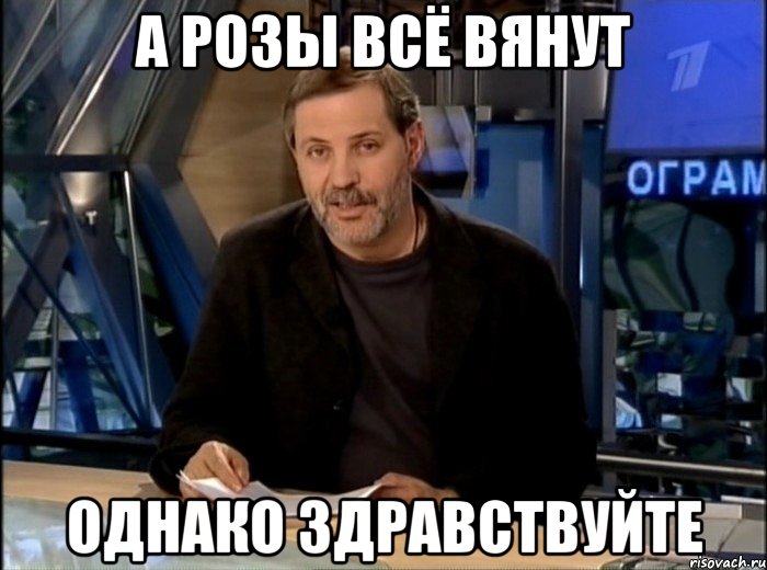 а розы всё вянут однако здравствуйте, Мем Однако Здравствуйте