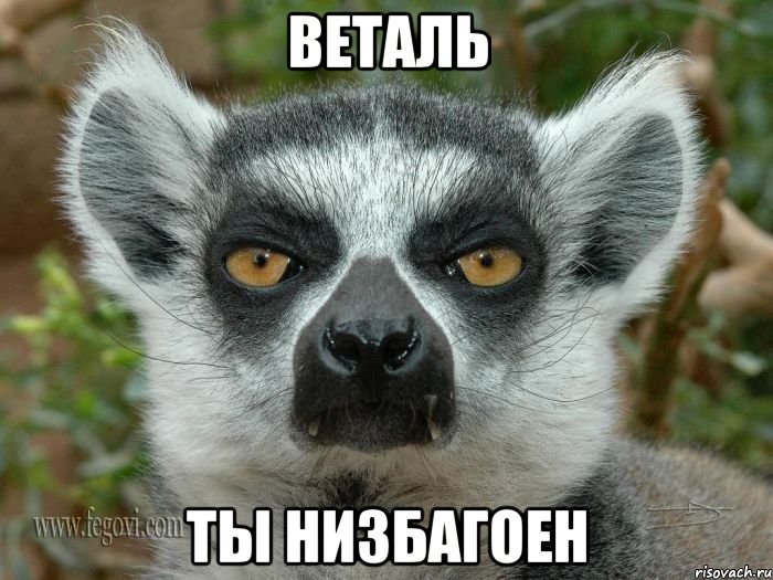 веталь ты низбагоен