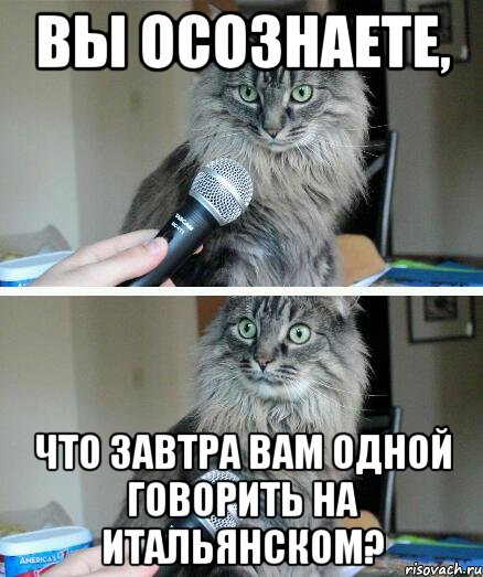 вы осознаете, что завтра вам одной говорить на итальянском?, Комикс  кот с микрофоном