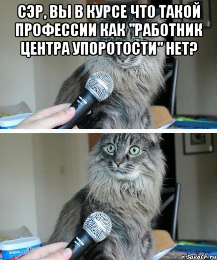 сэр, вы в курсе что такой профессии как "работник центра упоротости" нет? , Комикс  кот с микрофоном