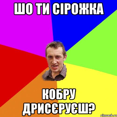 шо ти сірожка кобру дрисєруєш?, Мем Чоткий паца