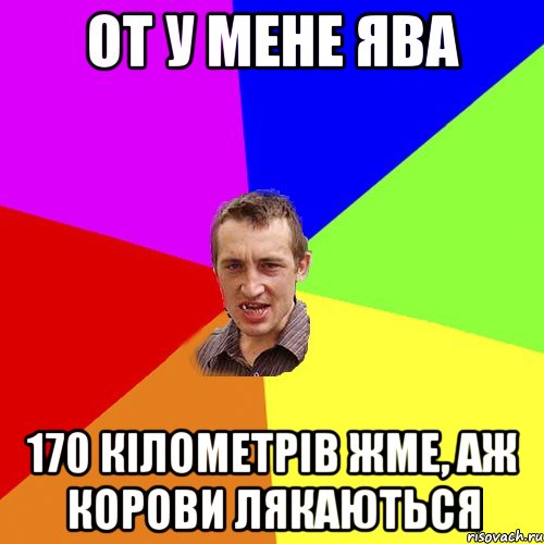 от у мене ява 170 кілометрів жме, аж корови лякаються, Мем Чоткий паца