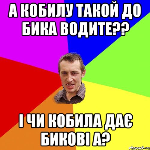 а кобилу такой до бика водите?? і чи кобила дає бикові а?, Мем Чоткий паца