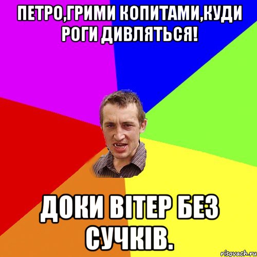 петро,грими копитами,куди роги дивляться! доки вітер без сучків., Мем Чоткий паца