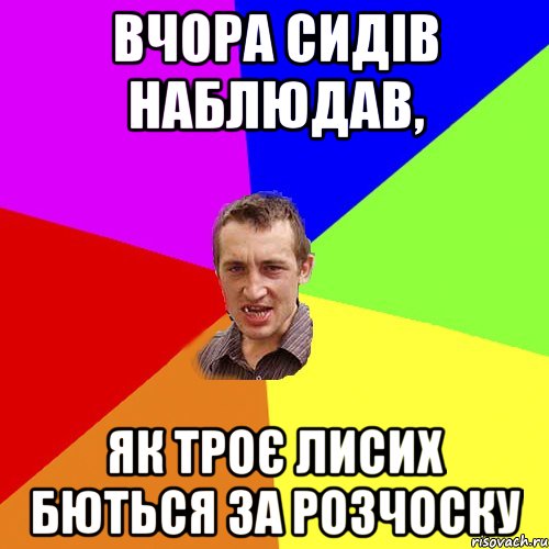 вчора сидів наблюдав, як троє лисих бються за розчоску, Мем Чоткий паца