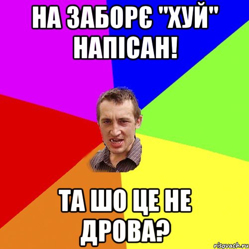 на заборє "хуй" напісан! та шо це не дрова?, Мем Чоткий паца