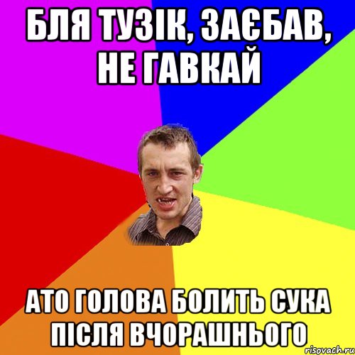 бля тузік, заєбав, не гавкай ато голова болить сука після вчорашнього, Мем Чоткий паца