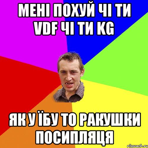 мені похуй чі ти vdf чі ти kg як у їбу то ракушки посипляця, Мем Чоткий паца