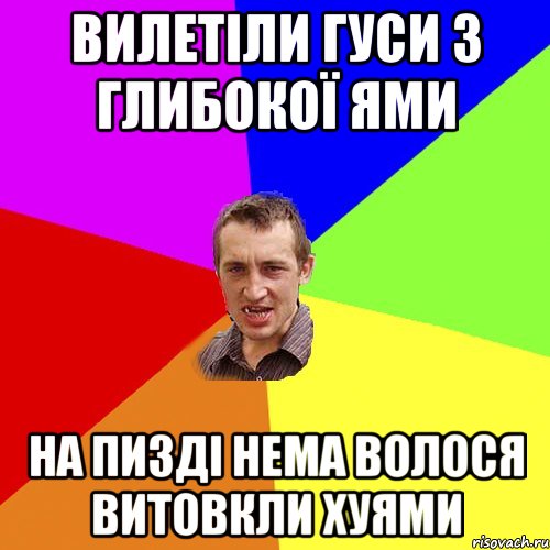 вилетіли гуси з глибокої ями на пизді нема волося витовкли хуями, Мем Чоткий паца