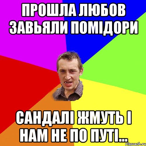 прошла любов завьяли помідори сандалі жмуть і нам не по путі..., Мем Чоткий паца