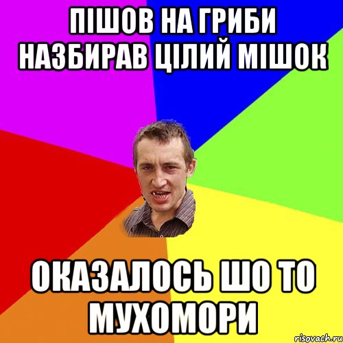 пішов на гриби назбирав цілий мішок оказалось шо то мухомори