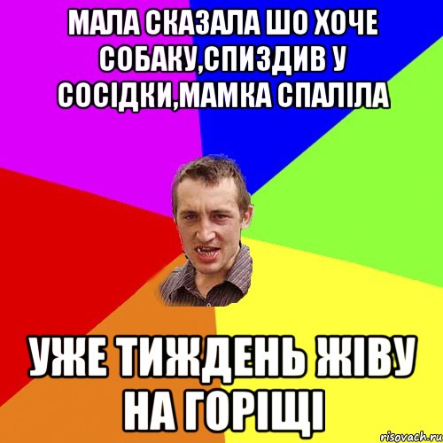 мала сказала шо хоче собаку,спиздив у сосідки,мамка спаліла уже тиждень жіву на горіщі, Мем Чоткий паца