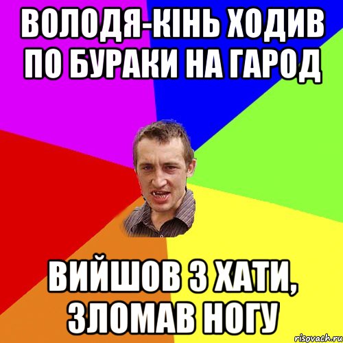 володя-кінь ходив по бураки на гарод вийшов з хати, зломав ногу, Мем Чоткий паца