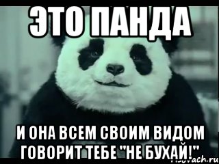 это панда и она всем своим видом говорит тебе "не бухай!"