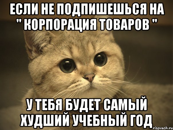 если не подпишешься на " корпорация товаров " у тебя будет самый худший учебный год, Мем Пидрила ебаная котик