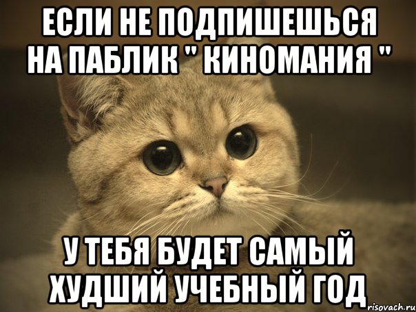 если не подпишешься на паблик " киномания " у тебя будет самый худший учебный год, Мем Пидрила ебаная котик