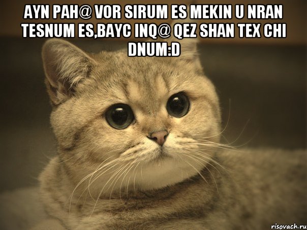 ayn pah@ vor sirum es mekin u nran tesnum es,bayc inq@ qez shan tex chi dnum:d , Мем Пидрила ебаная котик