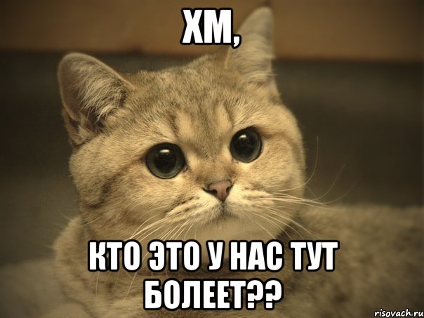 хм, кто это у нас тут болеет??, Мем Пидрила ебаная котик