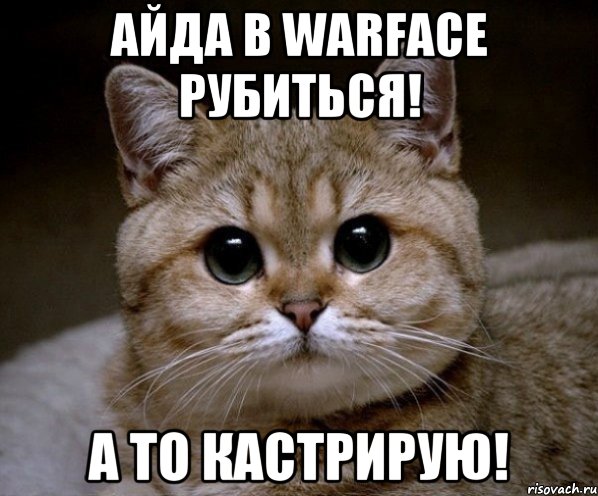 айда в warface рубиться! а то кастрирую!, Мем Пидрила Ебаная