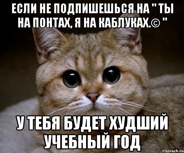 если не подпишешься на " ты на понтах, я на каблуках.© " у тебя будет худший учебный год, Мем Пидрила Ебаная