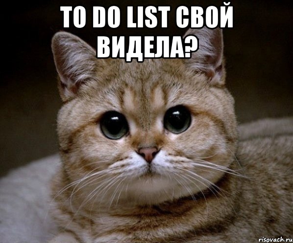 to do list свой видела? , Мем Пидрила Ебаная