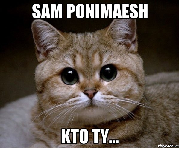 sam ponimaesh kto ty..., Мем Пидрила Ебаная