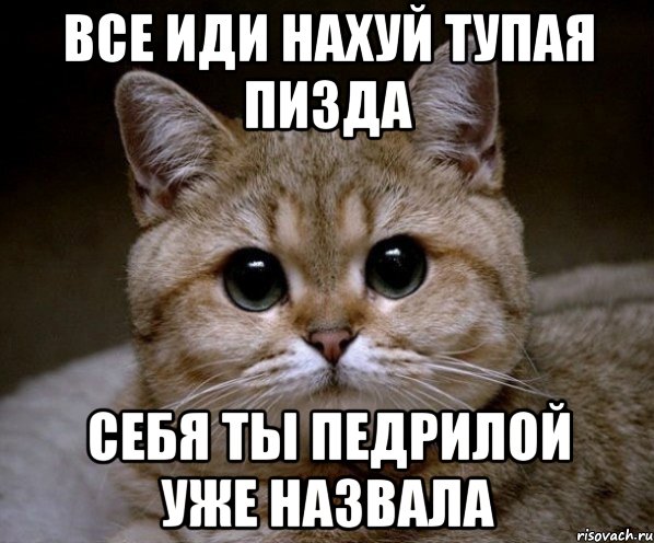 все иди нахуй тупая пизда себя ты педрилой уже назвала, Мем Пидрила Ебаная