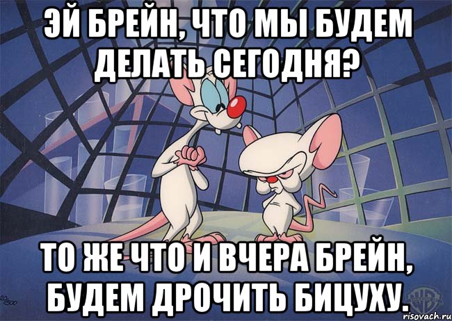 эй брейн, что мы будем делать сегодня? то же что и вчера брейн, будем дрочить бицуху., Мем ПИНКИ И БРЕЙН