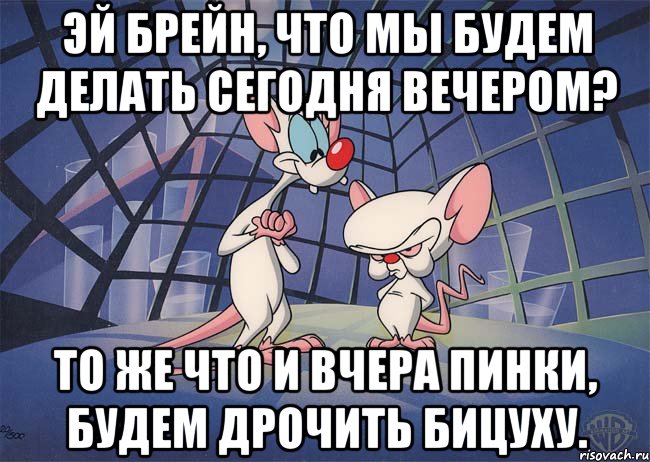 эй брейн, что мы будем делать сегодня вечером? то же что и вчера пинки, будем дрочить бицуху.