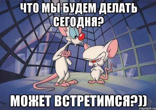 что мы будем делать сегодня? может встретимся?))