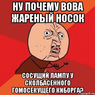 ну почему вова жареный носок сосущий лампу у сколбасенного гомосекущего киборга?, Мем Почему