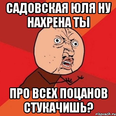 садовская юля ну нахрена ты про всех поцанов стукачишь?, Мем Почему