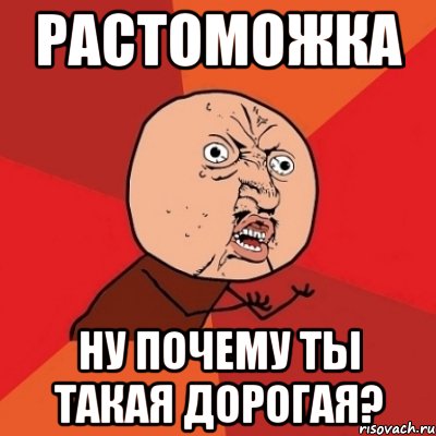 растоможка ну почему ты такая дорогая?, Мем Почему