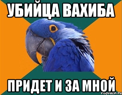 убийца вахиба придет и за мной, Мем Попугай параноик