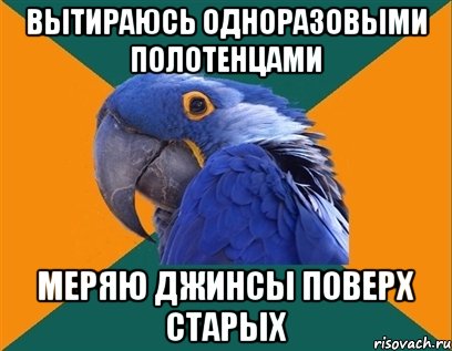 вытираюсь одноразовыми полотенцами меряю джинсы поверх старых, Мем Попугай параноик