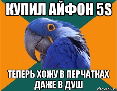 купил айфон 5s теперь хожу в перчатках даже в душ, Мем Попугай параноик