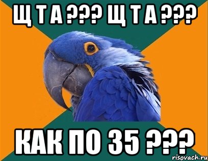 щ т а ??? щ т а ??? как по 35 ???, Мем Попугай параноик