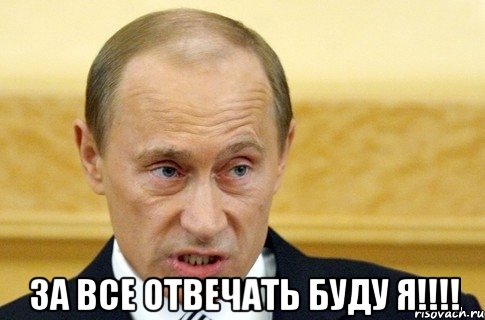  за все отвечать буду я!!!, Мем путин