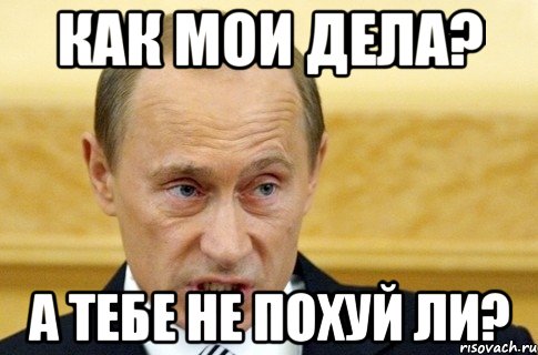 как мои дела? а тебе не похуй ли?, Мем путин