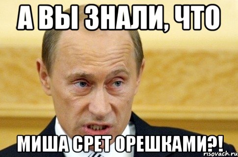 а вы знали, что миша срет орешками?!, Мем путин