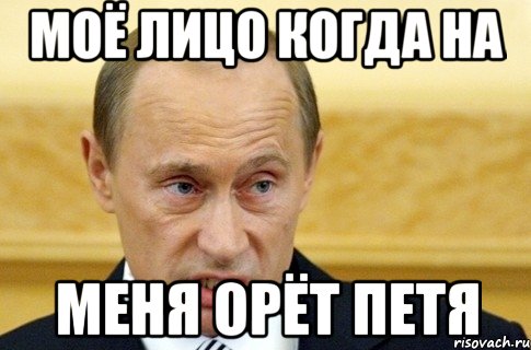 моё лицо когда на меня орёт петя, Мем путин